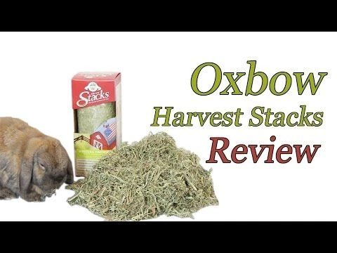 "Harvest Stacks" Heno Timothy Comprimido 8 "Harvest Stacks" Heno Timothy Comprimido - Imagen 6