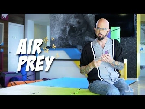 Repuesto Caña "Air Prey Wand" Jackson Galaxy 6 Repuesto Caña "Air Prey Wand" Jackson Galaxy - Imagen 4