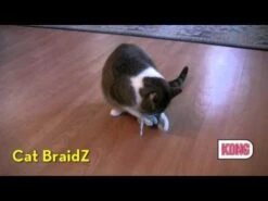 KONG Wubba Ratón Para Gatos -Mascotas Productos Tienda hqdefault 62