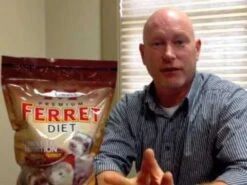 Marshall Alimento Premium Para Hurón "Ferret Diet" -Mascotas Productos Tienda hqdefault 64 12