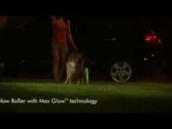 Pelota "Max Glow" Chuckit! Reflectante -Mascotas Productos Tienda hqdefault 64 20