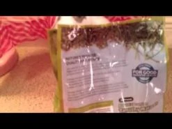 ZuPreem Nature's Promise Timothy Naturals Alimento Para Conejo Adulto -Mascotas Productos Tienda hqdefault 64 25