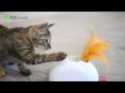 Juguete Interactivo "Escondite De Plumas" Pet Droid -Mascotas Productos Tienda hqdefault 65 10