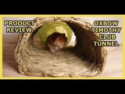 Guarida Y Túnel De Heno "Timothy Club" -Mascotas Productos Tienda hqdefault 65 37