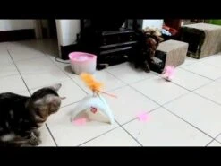 Juguete Interactivo "Wobble Feather" Pet Droid -Mascotas Productos Tienda hqdefault 65 7