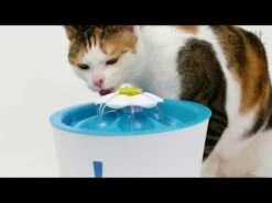 Bebedero Estilo Fuente Floral LED Para Gatos 12 Bebedero Estilo Fuente Floral LED Para Gatos -Mascotas Productos Tienda hqdefault 69 19