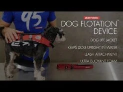 Chaleco Salvavidas "DFD" EzyDog -Mascotas Productos Tienda hqdefault 69 20