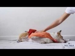 Toalla Capa Con Bolsillos Para Perros Tall Tails -Mascotas Productos Tienda hqdefault 69 26