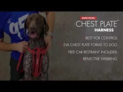 Arnés Chest Plate EzyDog -Mascotas Productos Tienda hqdefault 69 8