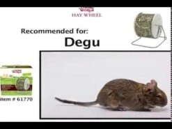 Dispensador Giratorio De Heno -Mascotas Productos Tienda hqdefault 6 10