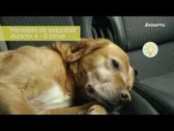 Adaptil Spray Para Perros -Mascotas Productos Tienda hqdefault 70 6