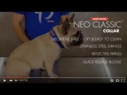 Collar Neo Classic Ezydog 9 Collar Neo Classic Ezydog -Mascotas Productos Tienda hqdefault 71 12
