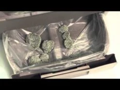 Bolsas Para Bandeja Superior De Baño Catit Smartsift -Mascotas Productos Tienda hqdefault 71 86