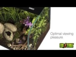 Terrario De Escritorio Habisphere Exo Terra -Mascotas Productos Tienda hqdefault 73 2