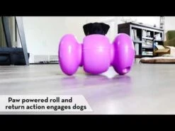 Juguete Kong Replay -Mascotas Productos Tienda hqdefault 73 4