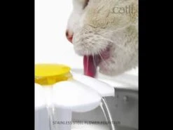 Bebedero De Flor Acero Inoxidable Catit 2.0 -Mascotas Productos Tienda hqdefault 73 8