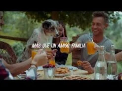 Simparica Antiparasitario Para Perros - 1 Comprimido -Mascotas Productos Tienda hqdefault 74