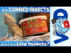 Grillos En Lata "Can O' Crickets" 13 Grillos En Lata "Can O' Crickets" -Mascotas Productos Tienda hqdefault 9 11