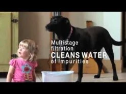 Bebedero Zeus Fuente De 6 Litros -Mascotas Productos Tienda hqdefault 9 16