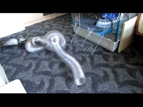 Túnel De Juguete "Super Thru-Way" Para Hurón 6 Túnel De Juguete "Super Thru-Way" Para Hurón - Imagen 4