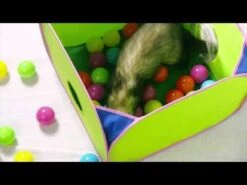 Piscina De Pelotas "Pop-N-Play" Para Hurón -Mascotas Productos Tienda hqdefault 9 4