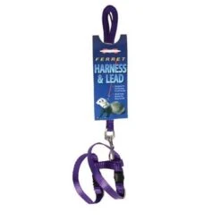 Marshall Arnés Y Correa Para Hurones -Mascotas Productos Tienda huron arnes morado 1