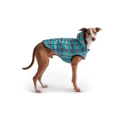 Impermeable Reversible Azul Para Perros -Mascotas Productos Tienda impermeable navy 5