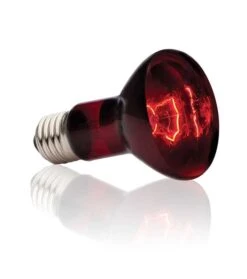 Ampolleta Heat Glo Infrarroja Exo Terra