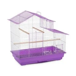 Jaula Casa Para Ninfas Prevue -Mascotas Productos Tienda jaula casa ninfa 4