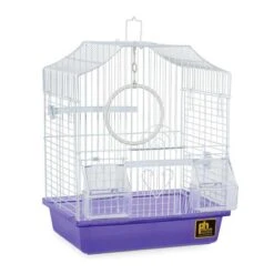 Jaula Para Aves Pequeñas Prevue -Mascotas Productos Tienda jaula econo9 4