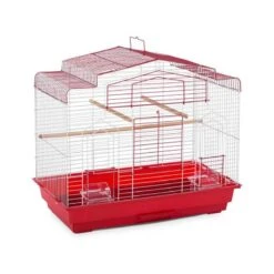 Jaula De Vuelo Para Ninfas Prevue -Mascotas Productos Tienda jaula ninfa 3