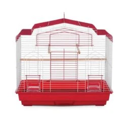 Jaula De Vuelo Para Ninfas Prevue -Mascotas Productos Tienda jaula ninfa 4