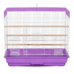 Jaula De Vuelo Prevue Para Aves -Mascotas Productos Tienda jaula vuelo 4