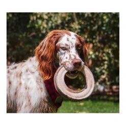 Juguete Anillo De Cuero Natural Tall Tails -Mascotas Productos Tienda juguete anillo cuero tall tails 03