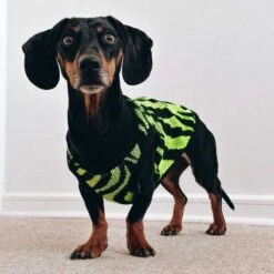 Kimba Chaleco Cebra Negro/Neón -Mascotas Productos Tienda kimba chaleco cebra neon 3