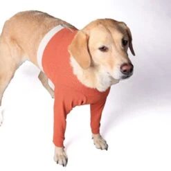 Polerón Cobre Miembros Anteriores -Mascotas Productos Tienda kimba poleron cobre superior 3