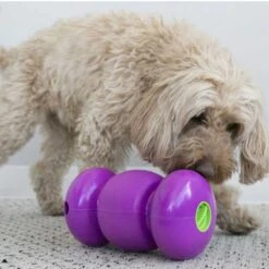 Juguete Kong Replay -Mascotas Productos Tienda kong replay 3