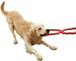 Juguete KONG Tug Para Halar 10 Juguete KONG Tug Para Halar -Mascotas Productos Tienda kong tug 4