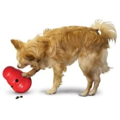 KONG "Wobbler" Juguete Y Comedero Para Perros 14 KONG "Wobbler" Juguete Y Comedero Para Perros -Mascotas Productos Tienda kong wobbler