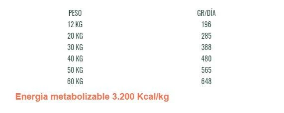 Bravery Light Cerdo Ibérico Razas Grandes Y Medianas 4 Bravery Light Cerdo Ibérico Razas Grandes Y Medianas - Imagen 2