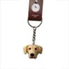 Llavero Golden Retriever -Mascotas Productos Tienda llavero labrador golden retriever 1