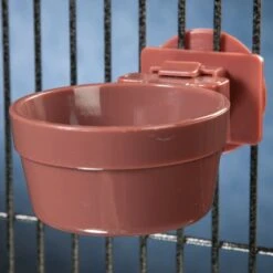 Comedero Y Bebedero De Fijación "Lock & Crock" -Mascotas Productos Tienda lock crock 6