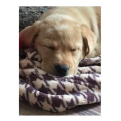 Manta Para Mascotas "Houndstooth" Tall Tails -Mascotas Productos Tienda manta frazada houndstooth 51x76 02