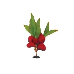 Planta De Seda Hoja Espada Roja Y Verde Marina Naturals