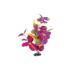 Planta De Seda Índigo Y Rojo Marina Naturals