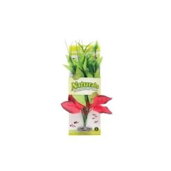Planta De Seda Pickerel Roja Y Verde Marina Naturals
