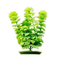 Planta Plástica Ambulia Marina Aquascaper