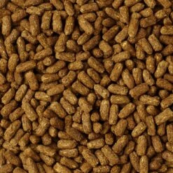 Mazuri "Tortoise Diet LS" Para Tortugas Terrestres 9 Mazuri "Tortoise Diet LS" Para Tortugas Terrestres -Mascotas Productos Tienda mazuri tortoise diet ls 3