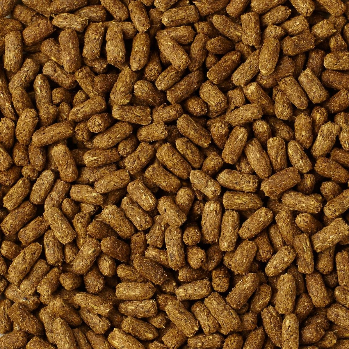 Mazuri "Tortoise Diet LS" Para Tortugas Terrestres 5 Mazuri "Tortoise Diet LS" Para Tortugas Terrestres - Imagen 3