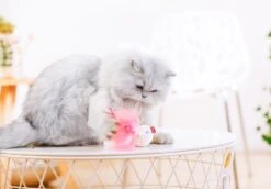 Juguete Interactivo "Wobble Feather" Pet Droid -Mascotas Productos Tienda melody tumbler plus 1